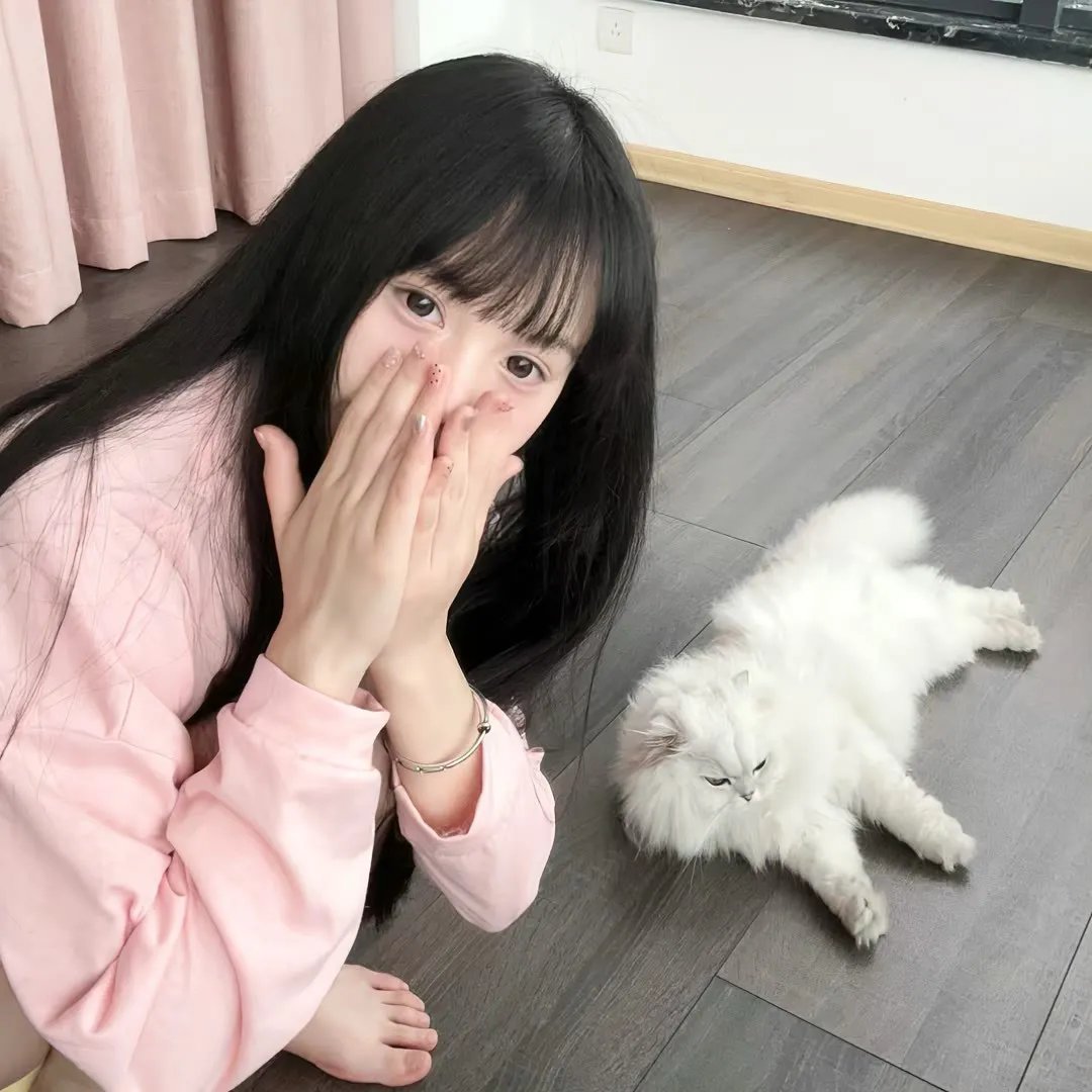 拳力游戏
